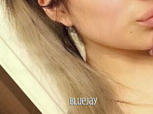 Blue_jay