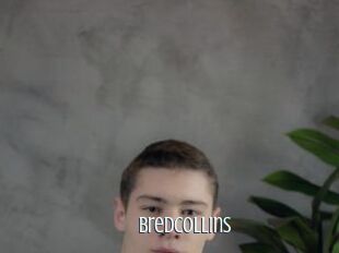 BredCollins
