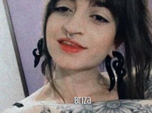 Briza