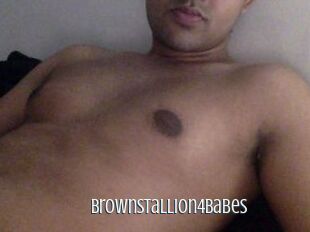 BrownStallion4Babes