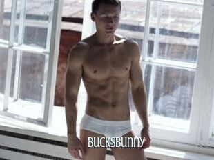 BucksBunny