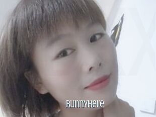 Bunnyhere