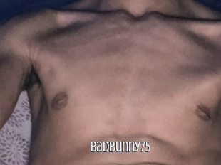 Badbunny75