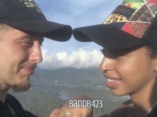 Bandb423