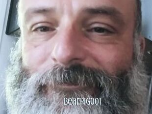 Bearpig001