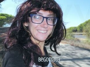 Begonia69