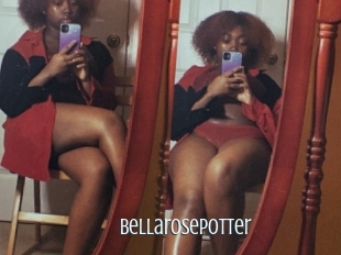 Bellarosepotter