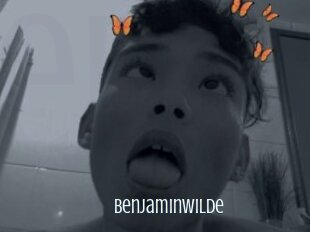 Benjaminwilde