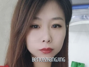 Bericezhangjing