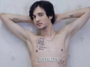 Bernicute