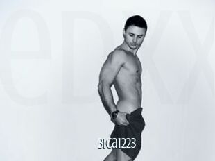Bica1223