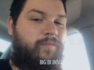 Big_bi_bear