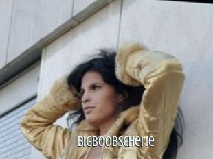 Bigboobscherie