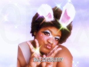 Bigcinnabunny