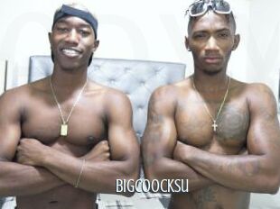 Bigcoocksu