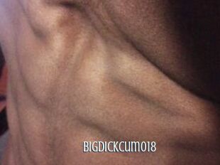 Bigdickcum018