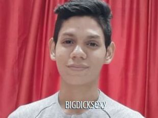 Bigdicksexy