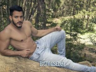 Bigmusclet