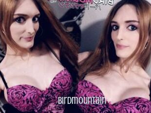 Birdmountain
