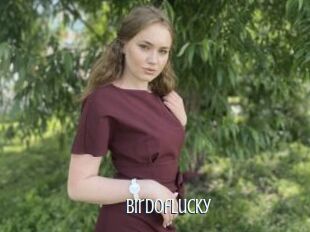 Birdoflucky