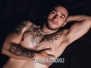 Blakeking0102