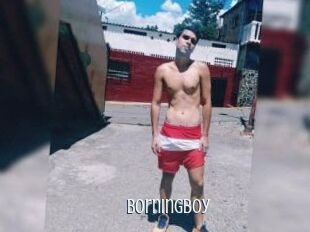 Borningboy