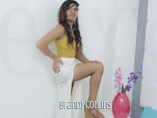 Brandycollins