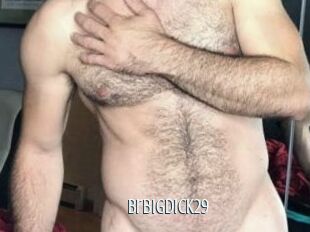 Brbigdick29