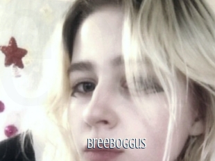 Breeboggus