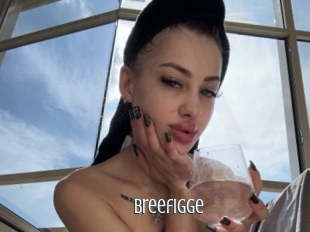 Breefigge