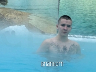 brianhorn Edonkey xxx