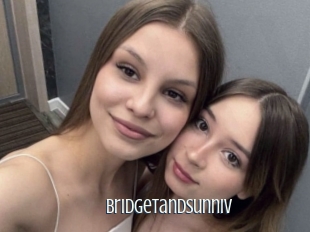 Bridgetandsunniv