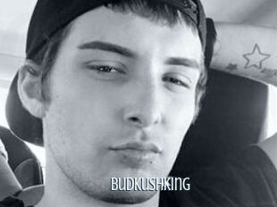 Budkushking