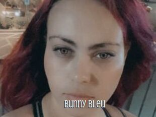 Bunny_bleu