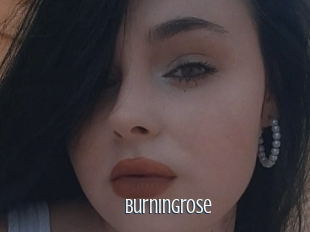 Burningrose