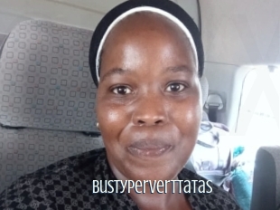 Bustyperverttatas