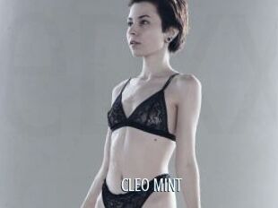 CLEO_MINT