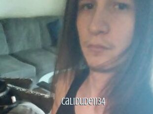 Calidude1134