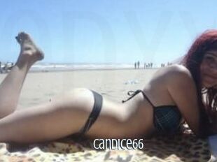 Candice66