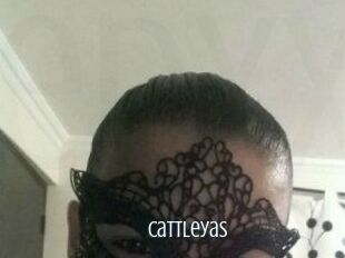 Cattleya_S