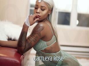 Cattleya_Rose