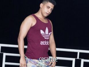 CesarLee