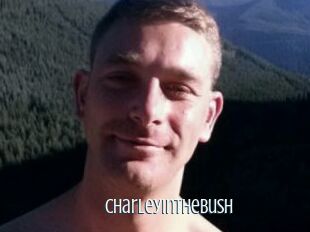 CharleyInTheBush