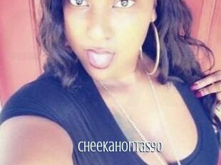 CheekaHontas90