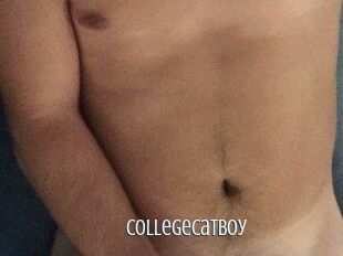 CollegeCatBoy