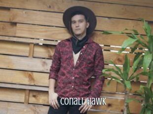 Conall_Hawk