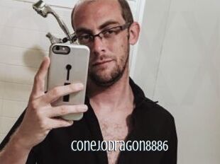 ConejoDragon8886