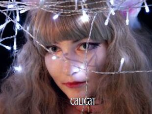 Calicat