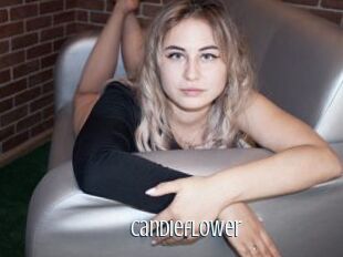 Candieflower