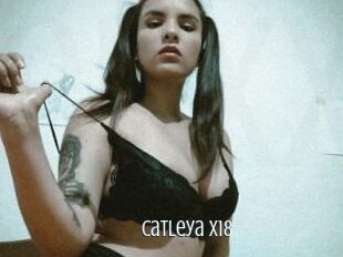 Catleya_x18